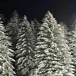 Appartement In Am Ettelsberg Skilift Willingen (Upland)
