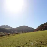 Apartment In Am Ettelsberg Skilift Willingen (Upland)