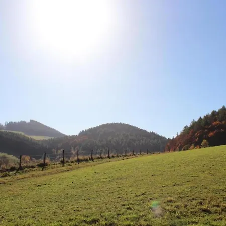 Modern In Near Lift Apartman Willingen