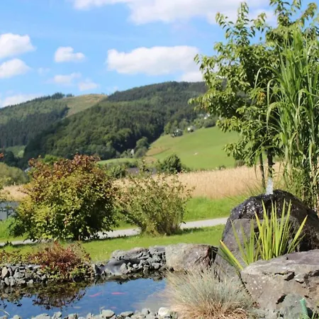 Modern In Near Lift Willingen