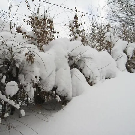 Apartment In Am Ettelsberg Skilift *