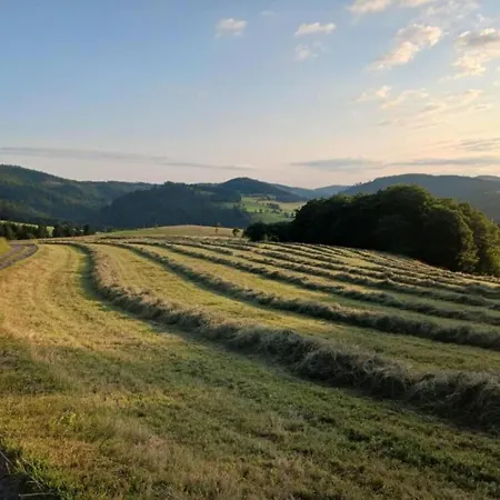 In Am Ettelsberg Skilift Apartment