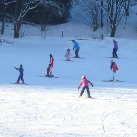 In Am Ettelsberg Skilift Διαμέρισμα *