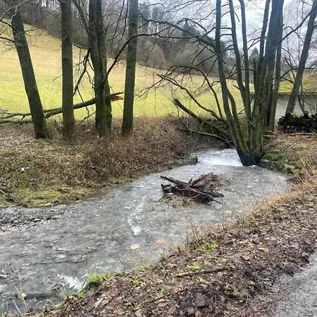 Διαμέρισμα In Am Ettelsberg Skilift *