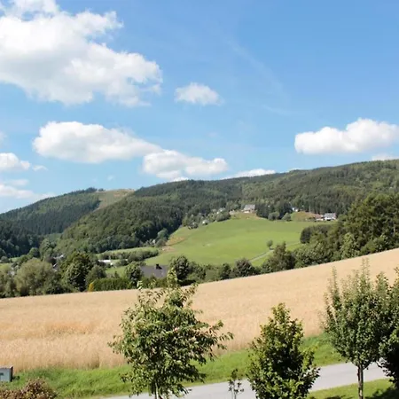 In Am Ettelsberg Skilift 아파트 빌링겐