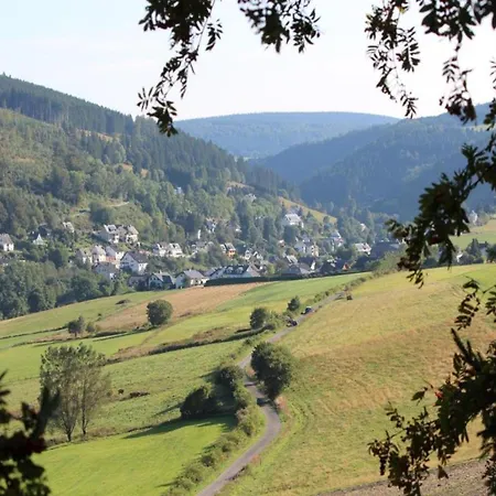 아파트 In Am Ettelsberg Skilift 빌링겐