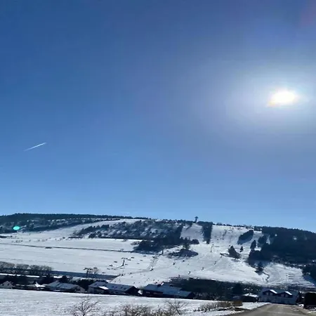 In Am Ettelsberg Skilift 아파트 빌링겐
