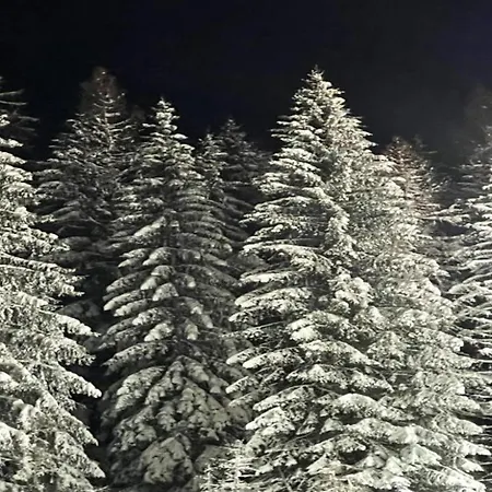 아파트 In Am Ettelsberg Skilift 빌링겐