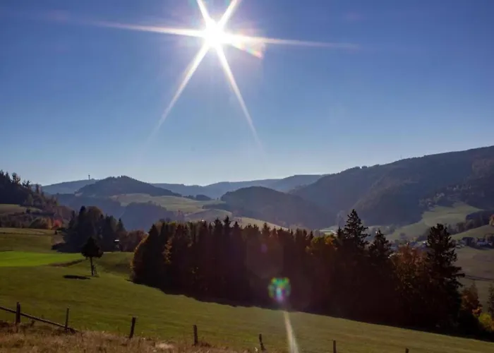 In Am Ettelsberg Skilift Апартаменты Виллинген