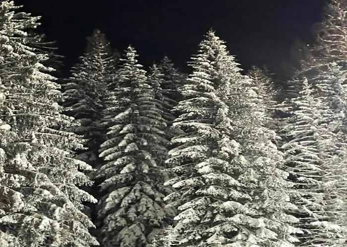 Апартаменты In Am Ettelsberg Skilift Виллинген