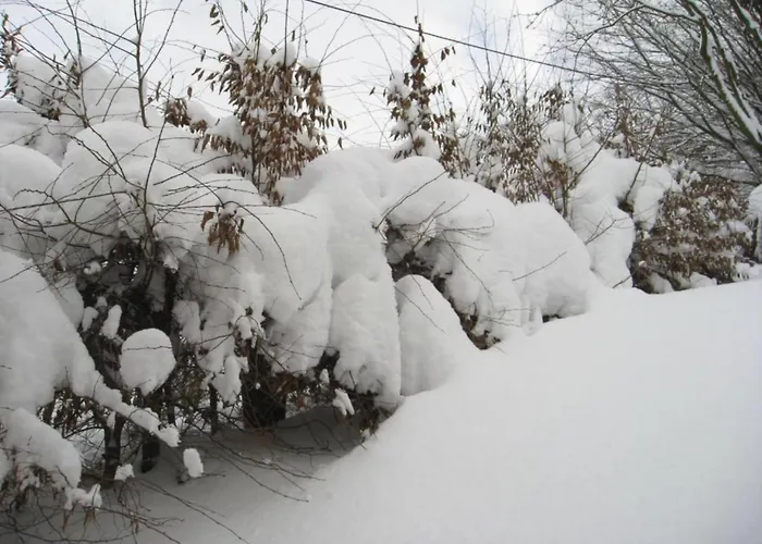 Appartement In Am Ettelsberg Skilift *