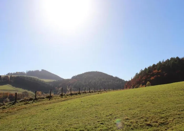 Appartement In Am Ettelsberg Skilift Willingen (Upland)