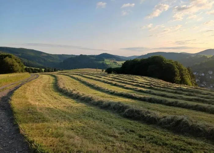 In Am Ettelsberg Skilift Апартаменты