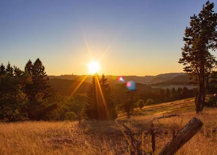 In Am Ettelsberg Skilift Апартаменты Виллинген